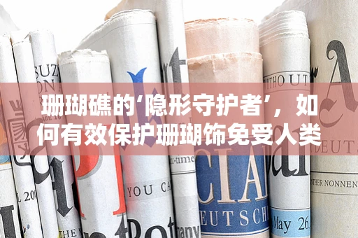 珊瑚礁的‘隐形守护者’，如何有效保护珊瑚饰免受人类活动影响？