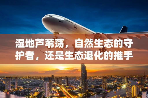 湿地芦苇荡，自然生态的守护者，还是生态退化的推手？