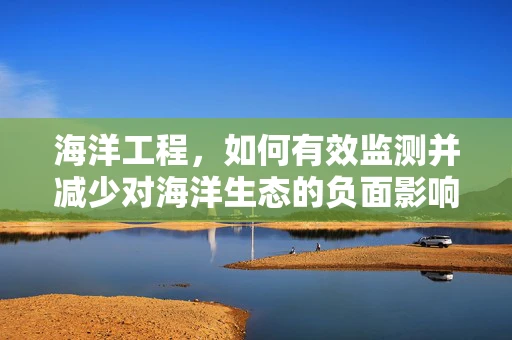 海洋工程，如何有效监测并减少对海洋生态的负面影响？