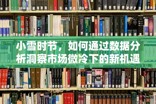 小雪时节，如何通过数据分析洞察市场微冷下的新机遇？