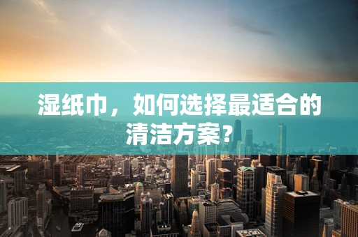 湿纸巾，如何选择最适合的清洁方案？