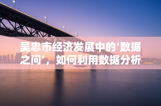 吴忠市经济发展中的‘数据之问’，如何利用数据分析推动地方产业升级？