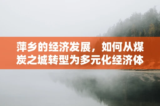 萍乡的经济发展，如何从煤炭之城转型为多元化经济体？