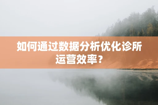如何通过数据分析优化诊所运营效率？