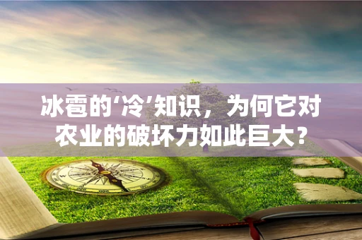 冰雹的‘冷’知识，为何它对农业的破坏力如此巨大？