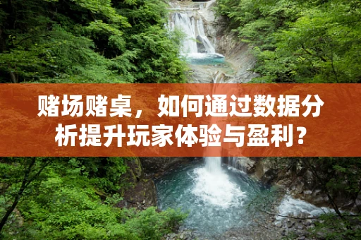 赌场赌桌，如何通过数据分析提升玩家体验与盈利？