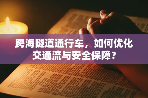 跨海隧道通行车，如何优化交通流与安全保障？