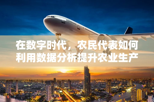 在数字时代，农民代表如何利用数据分析提升农业生产效率？