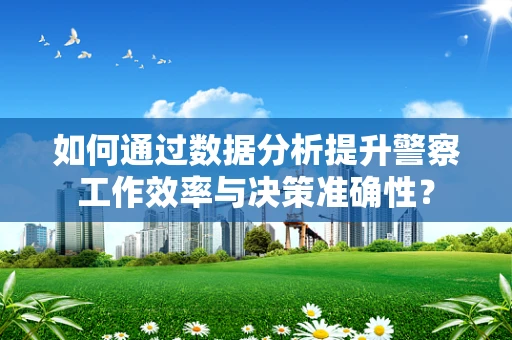 如何通过数据分析提升警察工作效率与决策准确性？