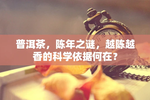 普洱茶，陈年之谜，越陈越香的科学依据何在？