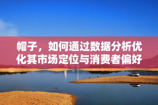 帽子，如何通过数据分析优化其市场定位与消费者偏好洞察？