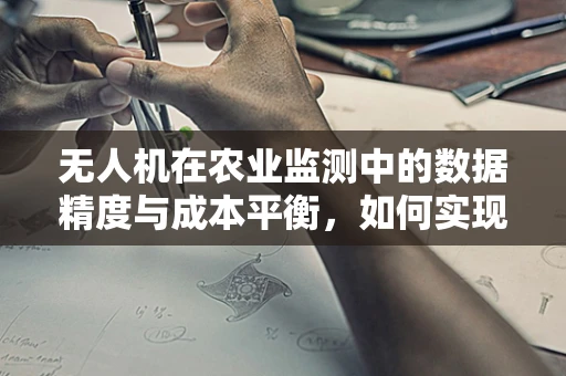 无人机在农业监测中的数据精度与成本平衡，如何实现？
