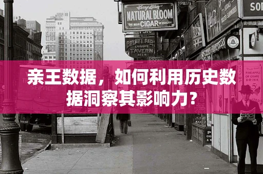 亲王数据，如何利用历史数据洞察其影响力？