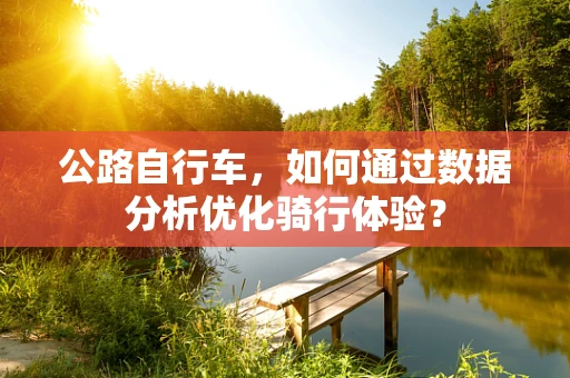 公路自行车，如何通过数据分析优化骑行体验？