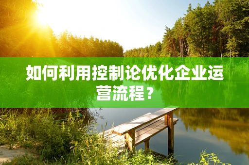 如何利用控制论优化企业运营流程？