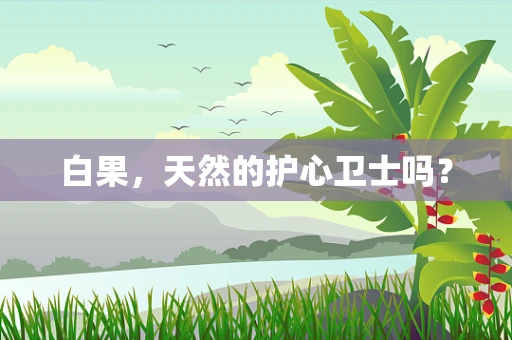 白果，天然的护心卫士吗？