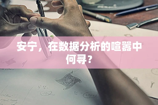 安宁，在数据分析的喧嚣中何寻？
