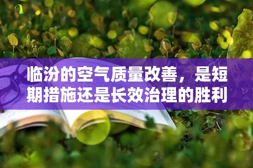 临汾的空气质量改善，是短期措施还是长效治理的胜利？