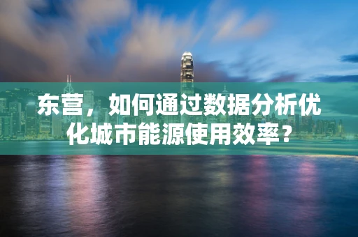 东营，如何通过数据分析优化城市能源使用效率？