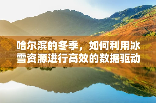 哈尔滨的冬季，如何利用冰雪资源进行高效的数据驱动营销？