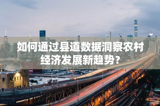 如何通过县道数据洞察农村经济发展新趋势？