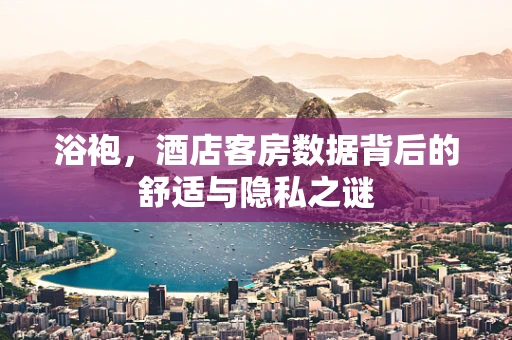 浴袍，酒店客房数据背后的舒适与隐私之谜