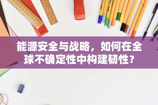 能源安全与战略，如何在全球不确定性中构建韧性？