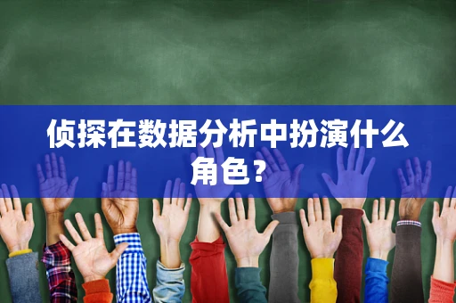 侦探在数据分析中扮演什么角色？