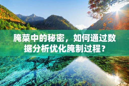 腌菜中的秘密，如何通过数据分析优化腌制过程？
