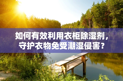 如何有效利用衣柜除湿剂，守护衣物免受潮湿侵害？
