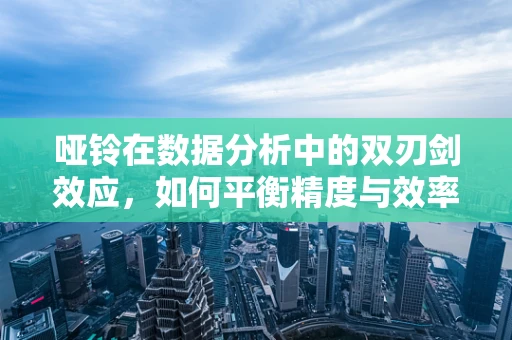 哑铃在数据分析中的双刃剑效应，如何平衡精度与效率？