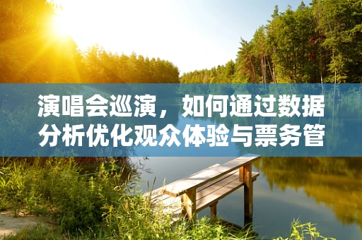 演唱会巡演，如何通过数据分析优化观众体验与票务管理？