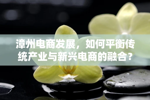 漳州电商发展，如何平衡传统产业与新兴电商的融合？