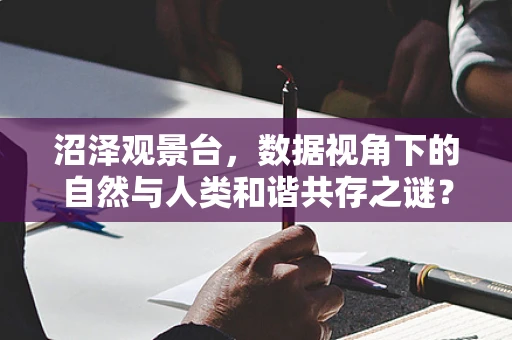 沼泽观景台，数据视角下的自然与人类和谐共存之谜？