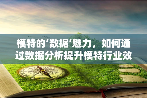 模特的‘数据’魅力，如何通过数据分析提升模特行业效率？