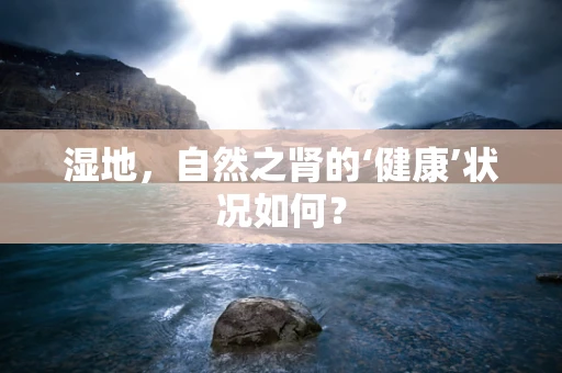 湿地，自然之肾的‘健康’状况如何？