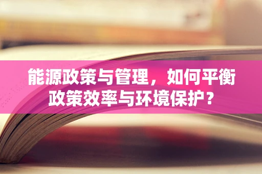 能源政策与管理，如何平衡政策效率与环境保护？
