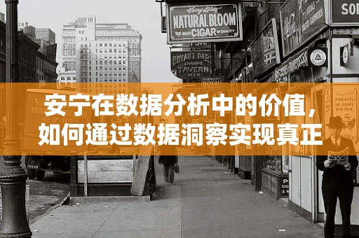 安宁在数据分析中的价值，如何通过数据洞察实现真正的‘心安’？