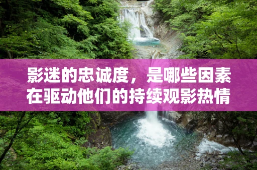 影迷的忠诚度，是哪些因素在驱动他们的持续观影热情？