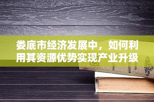 娄底市经济发展中，如何利用其资源优势实现产业升级？