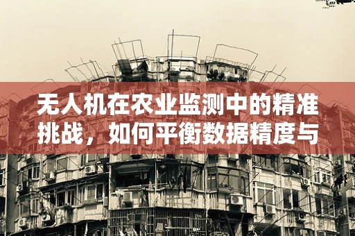 无人机在农业监测中的精准挑战，如何平衡数据精度与成本效益？