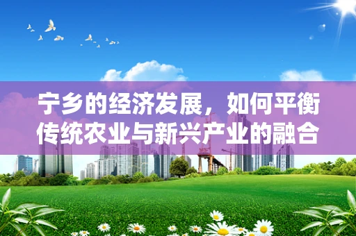 宁乡的经济发展，如何平衡传统农业与新兴产业的融合发展？