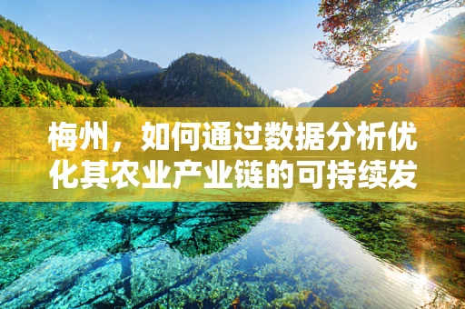 梅州，如何通过数据分析优化其农业产业链的可持续发展？