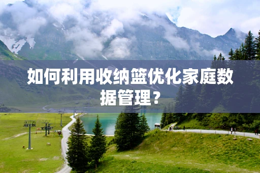 如何利用收纳篮优化家庭数据管理？