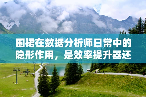围裙在数据分析师日常中的隐形作用，是效率提升器还是形象保护盾？