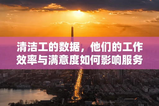 清洁工的数据，他们的工作效率与满意度如何影响服务质量？