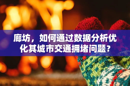 廊坊，如何通过数据分析优化其城市交通拥堵问题？