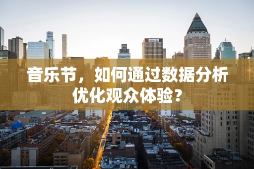 音乐节，如何通过数据分析优化观众体验？