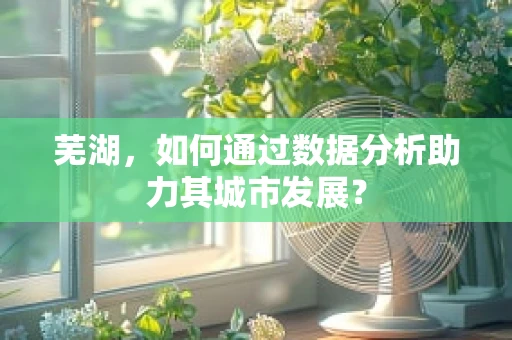 芜湖，如何通过数据分析助力其城市发展？