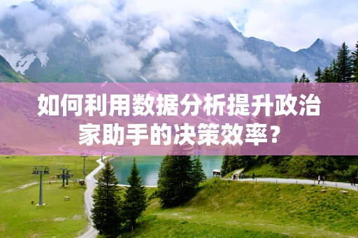 如何利用数据分析提升政治家助手的决策效率？
